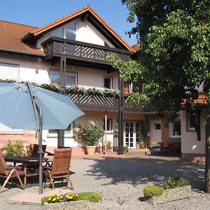 Birnbaumhof - Hotel Pension Und Ferienwohnungen Schwedelbach Exterior photo