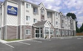 Microtel Inn & Suites By Wyndham Binghamton Exterior photo