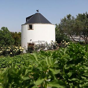 Ola Belem! Cozy Windmill, Stunning Views To Lisboa Bed & Breakfast Caparica Exterior photo