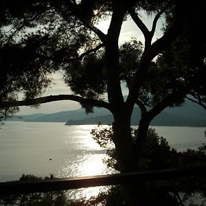 Farniente Villa Le Lavandou Room photo