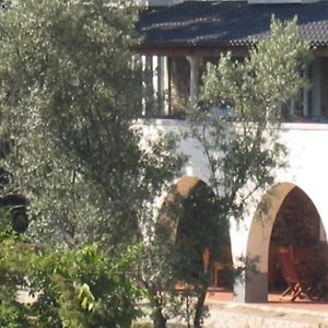Casa Ribeira De Pera Villa Castanheira de Pera Exterior photo