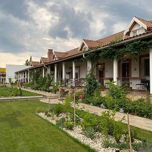 Country Club La Mesteceni Hotel Sebes  Exterior photo