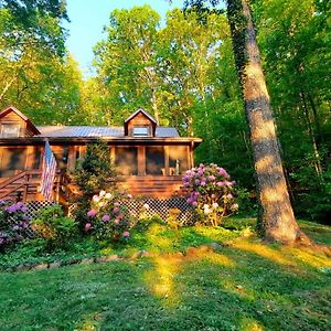 The Mountain Forager Cabin, Whitewater Rafting, Polar Express, Hot Tub, Home Gym, Smnp, Sm Railroad Bryson City Exterior photo