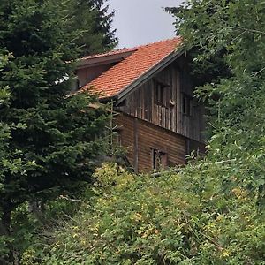 Haus Hanna Wolfsberg Exterior photo