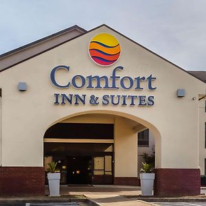 Comfort Inn & Suites Jasper Hwy 78 West Exterior photo