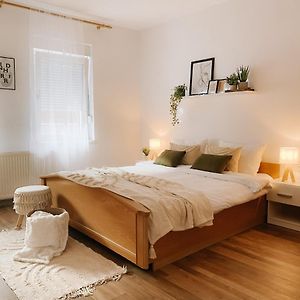 Cozy 2-Bedroom Boho-Themed Home Caransebes Exterior photo