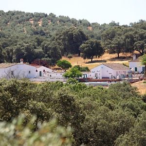 Cortijo Huerta Galindo Guest House Alanis Exterior photo