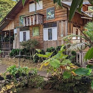 Cabana La Isla Guest House Jardin Exterior photo