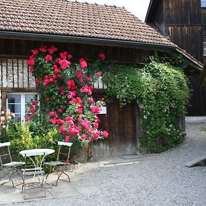 Idyllisches Woschhusli Villa Knonau Exterior photo