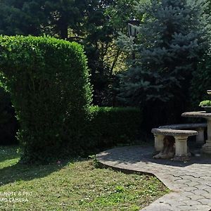 Cocic Garden Apartment Osijek Exterior photo