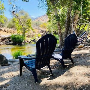 Sequoia Cabin By The River Three Rivers Exterior photo