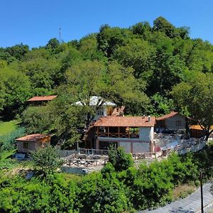 Sad Meli Wines Hotel Ambrolauri Exterior photo