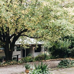 Coromandel Lodge, Berrima Exterior photo