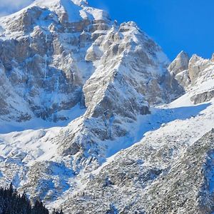 Romantic Chalet Dolomiti Val di Zoldo Exterior photo