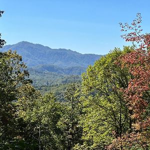 Stunning Views, Superb Atmosphere, Modern Amenities, In The Middle Of Nature Bryson City Exterior photo