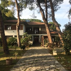 Beau Rivage - Suite Apartment In Villa Santarcangelo di Romagna Exterior photo