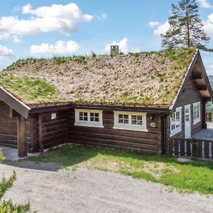 4 Bedroom Beautiful Home In Trysil Exterior photo