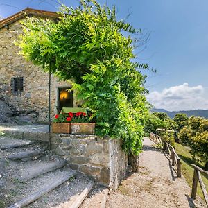 Apartment Podere Cima A Zano - Apt-Alfiero By Interhome Medicina  Exterior photo