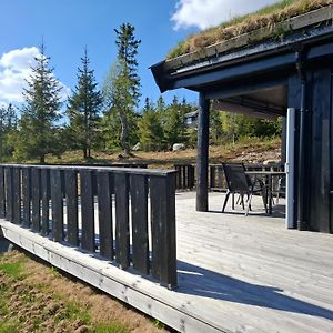 Perfect Location At Lifjell Villa Exterior photo