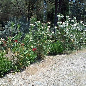 Pulica Guest House Montespertoli Room photo