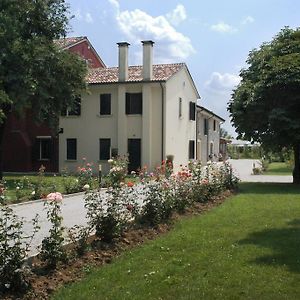 Ca' Premuda Locazione Turistica Villa Codogne Exterior photo