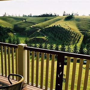 Panorama Seaside Apartments Norfolk Island Burnt Pine Exterior photo