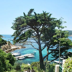 Rc D'Un Cabanon Ecologique Ile Du Levant Naturiste Exterior photo