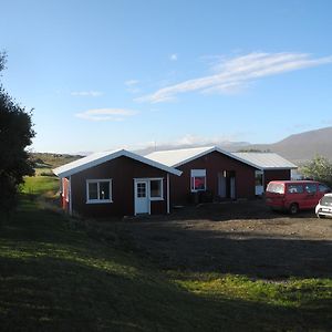 Icelandhorsetours - Helluland Saudarkrokur Exterior photo