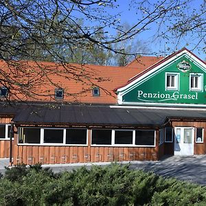 Penzion Grasel Nove Syrovice Exterior photo