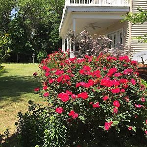 The Baywood Bed & Breakfast Cape Charles Exterior photo