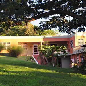 Isla Hermosa Guesthouse Vieques Exterior photo