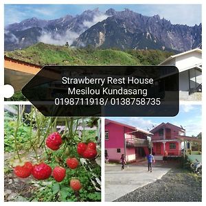 Strawberry Rest House Mesilou Kundasang Hotel Exterior photo
