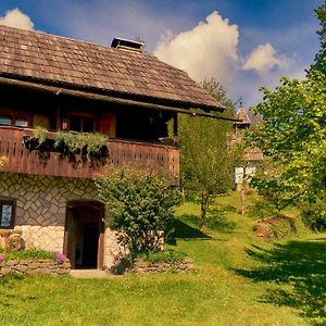 Domacija Koklej - Apartments Vintage Vacation Luce Exterior photo