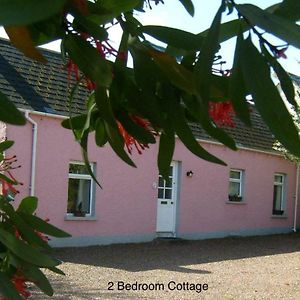 Hallmount Cottage - Belfast Exterior photo